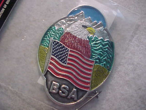 HIKING STICK EMBLEM, BSA/EAGLE/USA FLAG