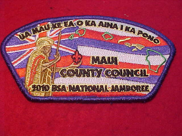 2010 NJ, MAUI COUNTY COUNCIL