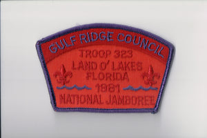 1981 Gulf Ridge C troop 323, Land o' Lakes, FL