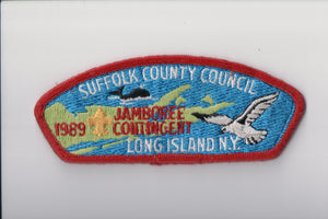 1989 Suffolk County C used