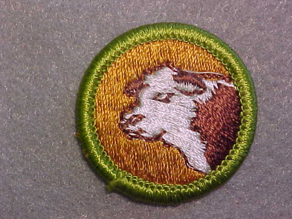 BEEF PRODUCTION, MERIT BADGE WITH CLEAR PLASTIC BACK, GREEN BORDER, NO IMPRINTS/LOGOS IN PLASTIC