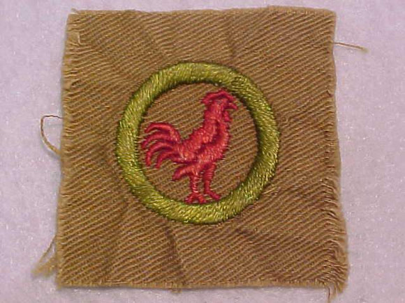 POULTRY KEEPING MERIT BADGE, SQUARE, 1920'S-1933, 53 X 55MM, USED