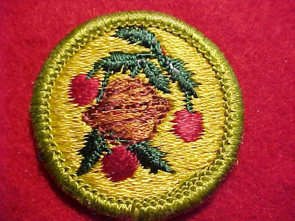 FRUIT AND NUT GROWING, MERIT BADGE WITH CLEAR PLASTIC BACK, GREEN BORDER, NO IMPRINTS/LOGOS IN PLASTIC, 1972-75