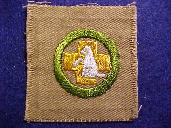 FIRST AID TO ANIMALS SQUARE MERIT BADGE, 55 X 52MM