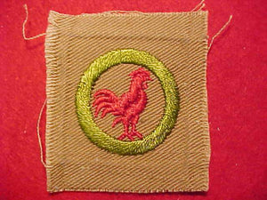POULTRY KEEPING MERIT BADGE, SQUARE, 1920'S-1933, 50X57MM