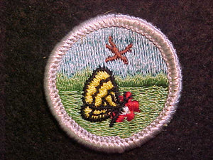 NATURE 1969-72, MERIT BADGE WITH CLOTH BACK, SILVER BORDER, ISSUED 1969 TO 1972