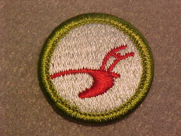 AGRICULTURE, MERIT BADGE WITH CLEAR PLASTIC BACK, GREEN BORDER, NO IMPRINTS/LOGOS IN PLASTIC