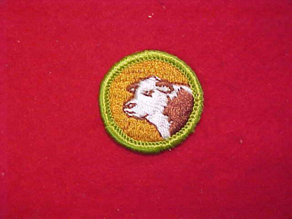 BEEF PRODUCTION, MERIT BADGE WITH CLOTH BACK, GREEN BORDER, 1969-72