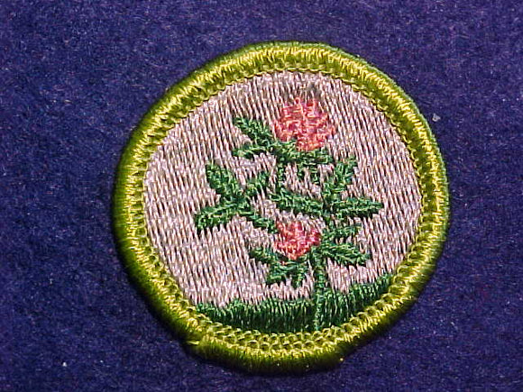 FORAGE CROPS, MERIT BADGE WITH CLOTH BACK, GREEN BORDER