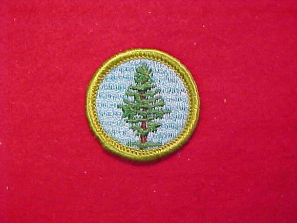 FORESTRY, MERIT BADGE WITH CLOTH BACK, GREEN BORDER, 1969-72