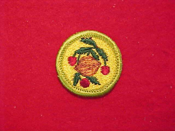 FRUIT AND NUT GROWING, MERIT BADGE WITH CLOTH BACK, GREEN BORDER, 1960-72