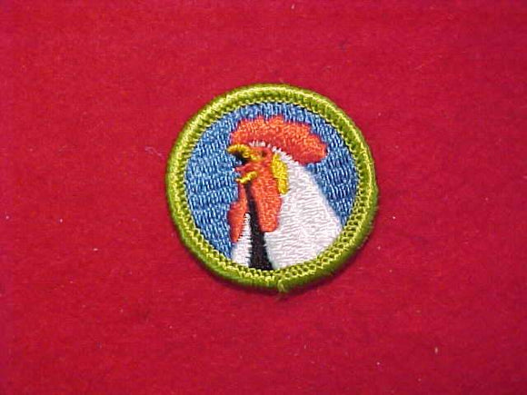 POULTRY KEEPING, MERIT BADGE WITH CLOTH BACK, GREEN BORDER, 1969-72