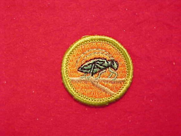 INSECT LIFE, MERIT BADGE WITH CLOTH BACK, GREEN BORDER, 1969-72