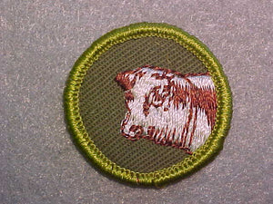 BEEF PRODUCTION, ROLLED EDGE TWILL BACKGROUND MERIT BADGE
