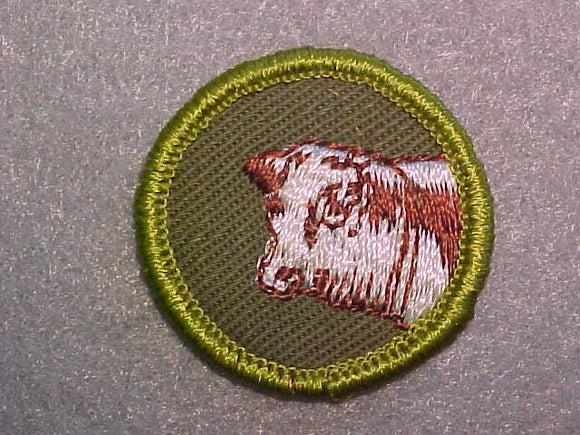 BEEF PRODUCTION, ROLLED EDGE TWILL BACKGROUND MERIT BADGE