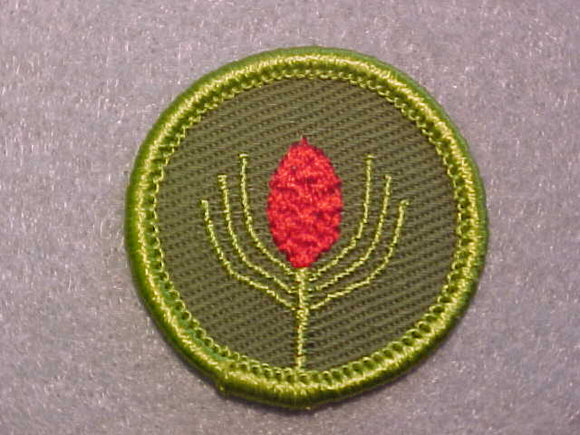 FORESTRY, ROLLED EDGE TWILL BACKGROUND MERIT BADGE