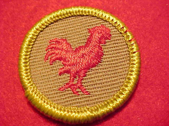 POULTRY KEEPING, ROLLED EDGE TWILL BKGR. MERIT BADGE