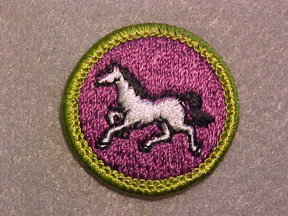 ANIMAL INDUSTRY, MERIT BADGE WITH CLEAR PLASTIC BACK, GREEN BORDER, NO IMPRINTS/LOGOS IN PLASTIC