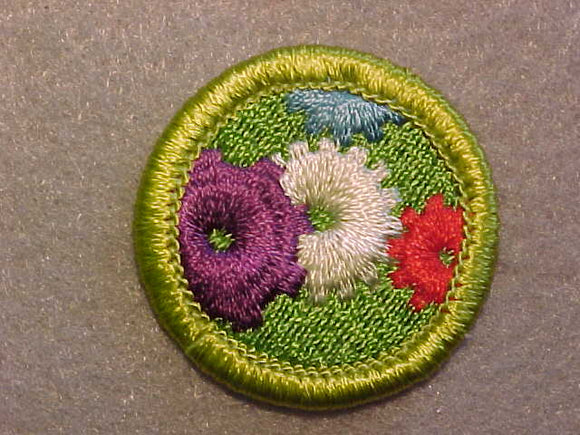 MACHINERY, MERIT BADGE WITH CLEAR PLASTIC BACK, GREEN BORDER, NO IMPRINTS/LOGOS IN PLASTIC