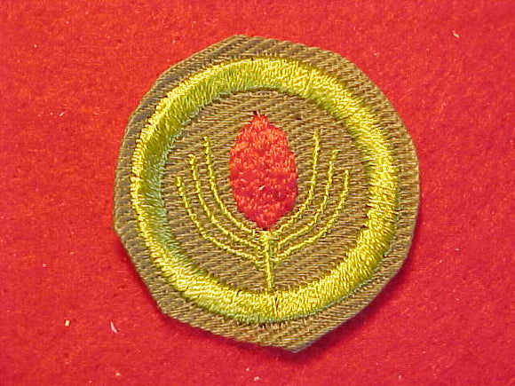 FORESTRY, MERIT BADGE WITH CRIMPED EDGE, KHAKI, ISSUED 1946-60