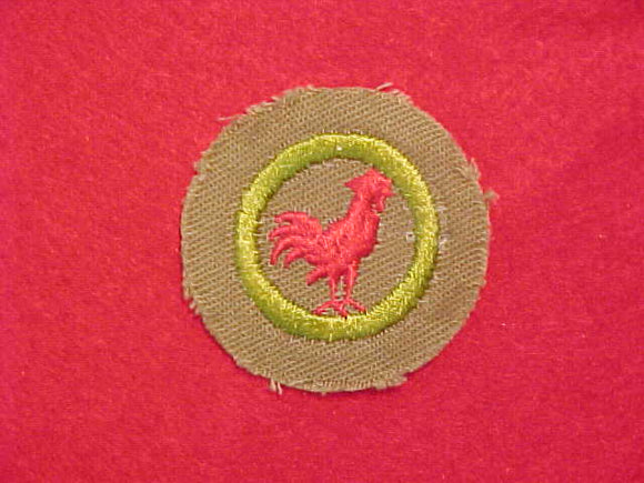 POULTRY KEEPING MERIT BADGE WITH CRIMPED EDGE, KHAKI, ISSUED 1946-1960