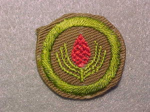 FORESTRY, MERIT BADGE WITH CRIMPED EDGE, TAN, ISSUED 1936-45