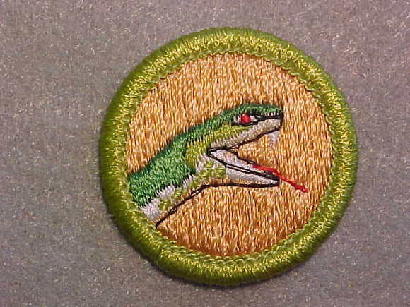 REPTILE STUDY (SNAKE HEAD) 1972-93, MERIT BADGE WITH CLEAR PLASTIC BACK, GREEN BORDER, NO IMPRINTS/LOGOS IN PLASTIC