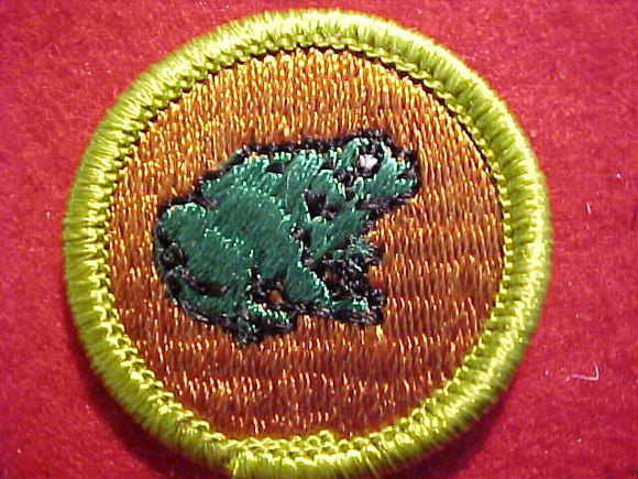 ZOOLOGY, MERIT BADGE WITH CLEAR PLASTIC BACK, GREEN BORDER, NO IMPRINTS/LOGOS IN PLASTIC, 1972 ISSUE