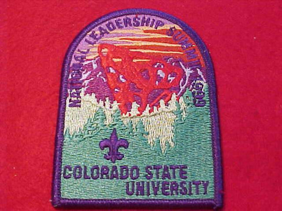 OA PATCH, 1999 NATIONAL LEADERSHIP SUMMIT
