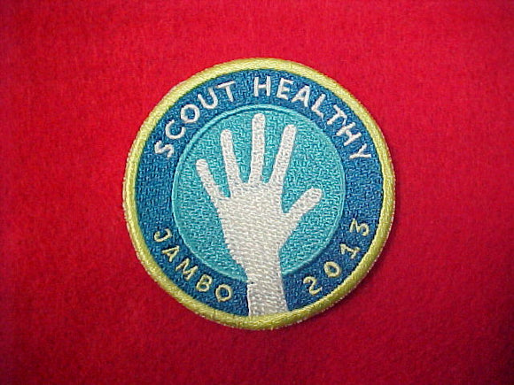 2013 Scout Healthy Patch