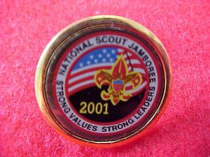 2001 lapel pin, multicolor emblem