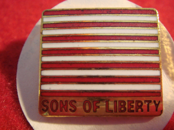 81 NJ subcamp pin, Sons of Liberty