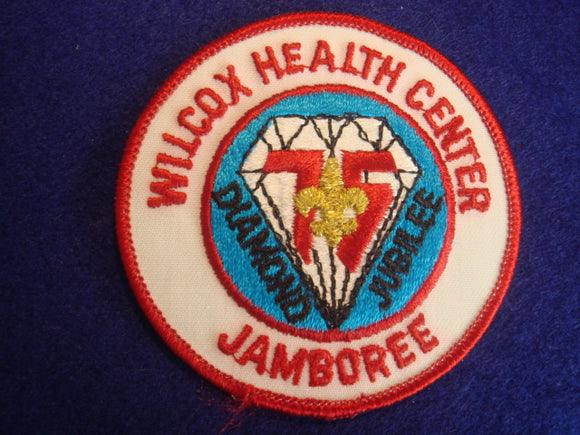 85 NJ Wilcox Health Center staff patch