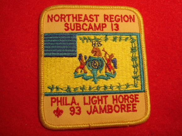 93 NJ subcamp 13, northeast region patch