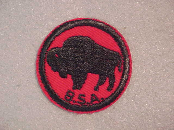 AMERICAN BISON, TWILL, CLEAR PLASTIC BACK