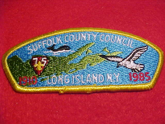 SUFFOLK COUNTY C. S-2, LONG ISLAND, N. Y., 1910-1985