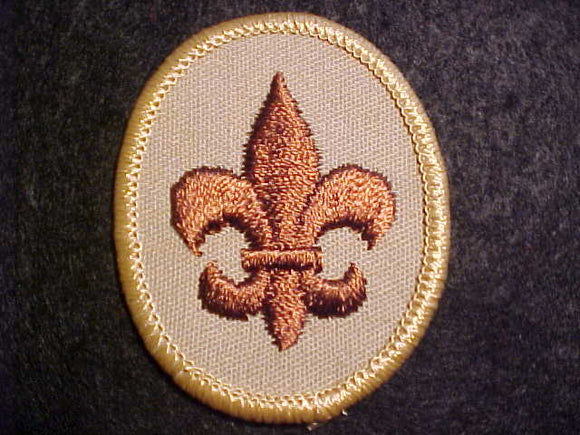 SCOUT RANK, TYPE 3A, CLEAR PLASTIC BACK