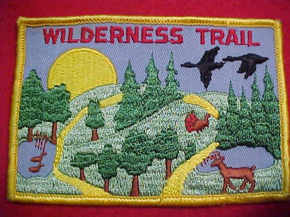 WILDERNESS TRAIL PATCH, TALL PINE COUNCIL, 1960'S
