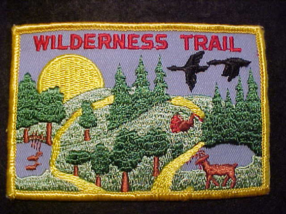 WILDERNESS TRAIL PATCH, TALL PINE COUNCIL, MICHIGAN, 1960'S, USED