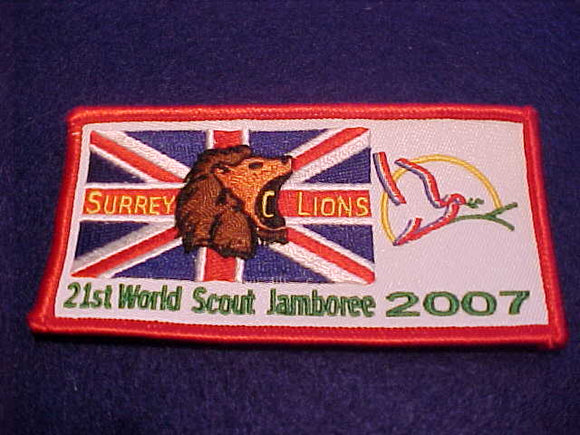 2007 WJ PATCH, U. K., SURREY LIONS