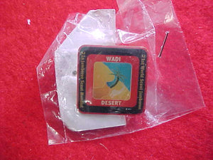 2007 WJ SUBCAMP PIN, WADI DESERT