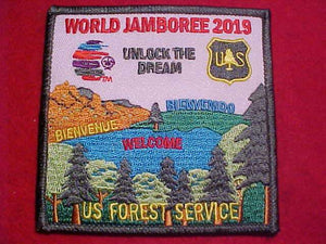 2019 WJ PATCH, U. S. FOREST SERVICE