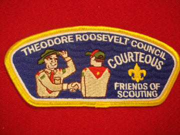 Theodore Roosevelt C (NY) sa13, Courteous, Yellow Bdr.