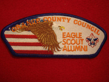 Orange County sa164, Eagle Scout Alumni